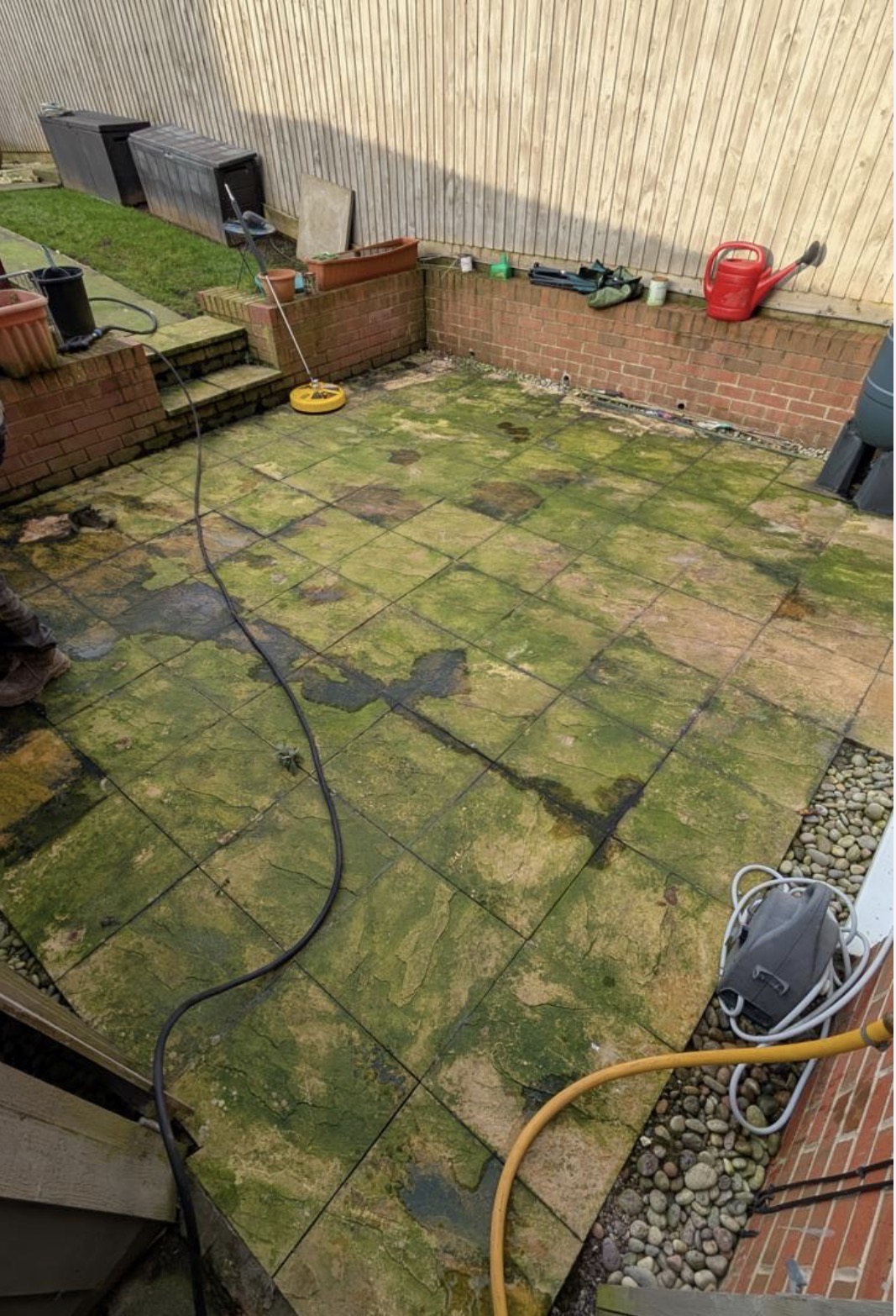 Sandstone patio before cleaning — covered in moss and algae