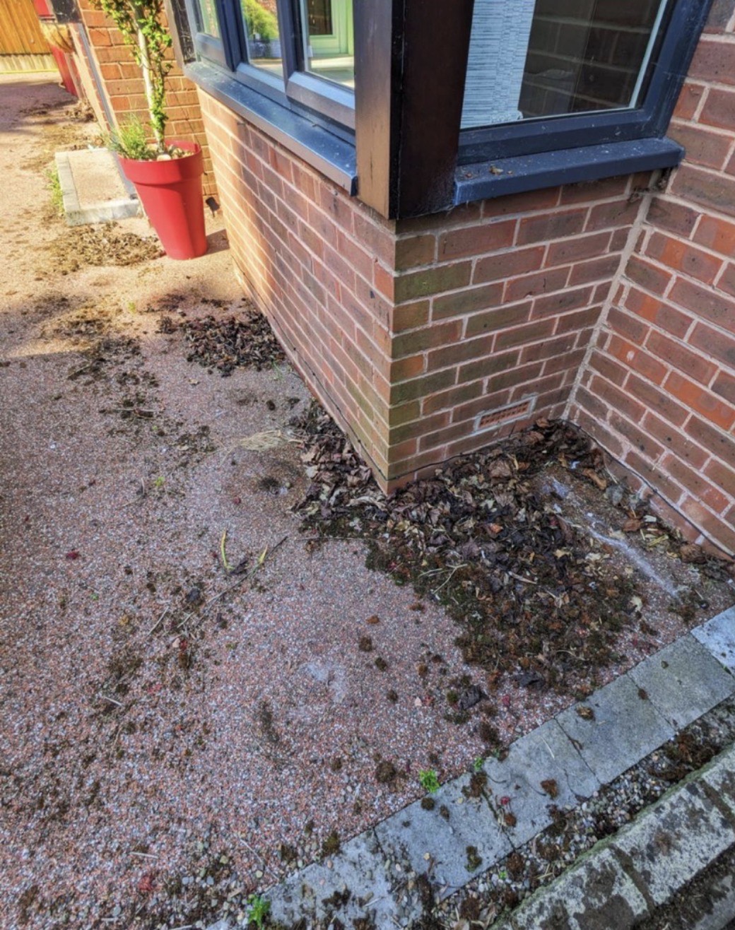 Resin bound driveway before cleaning — moss and debris buildup